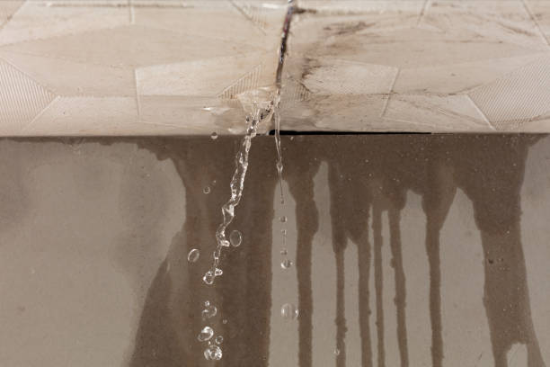 Professional Water Extraction technician working in Paris, MI